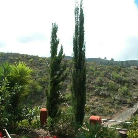 La Paloma * El Jaral
